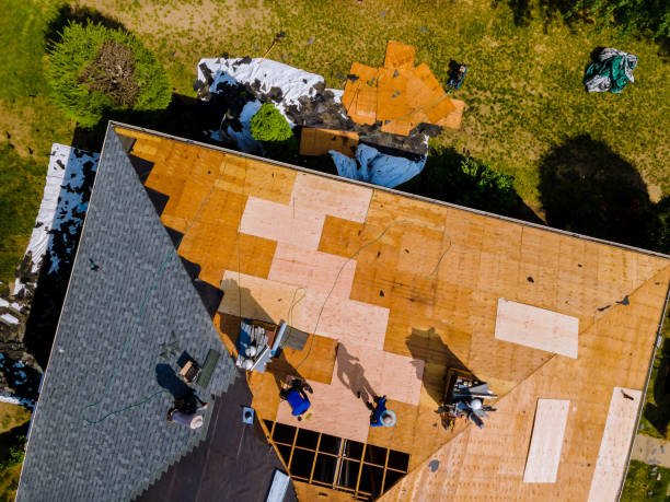 Sealant for Roof in Orting, WA
