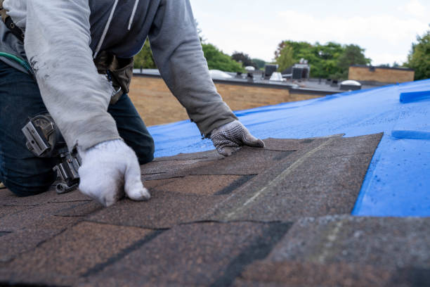 Best Sealant for Roof  in Orting, WA